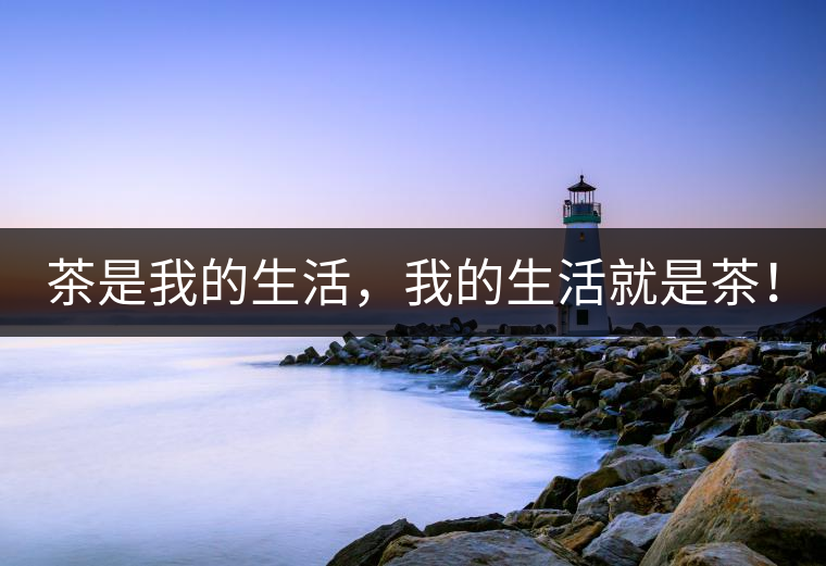 茶是我的生活，我的生活就是茶！