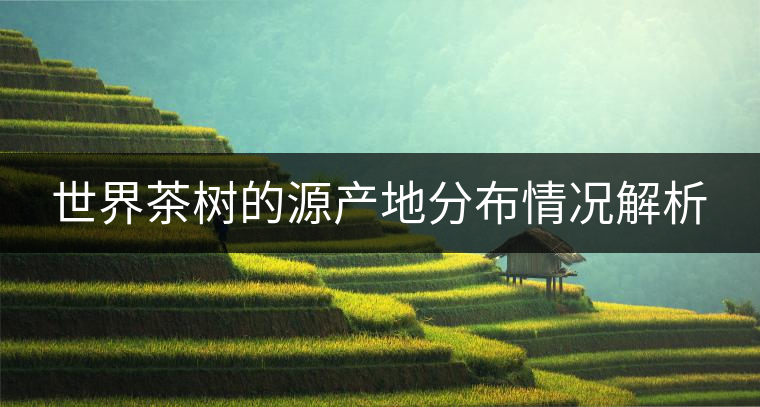 世界茶樹的源產(chǎn)地分布情況解析 世界茶樹的源產(chǎn)地分布情況解析