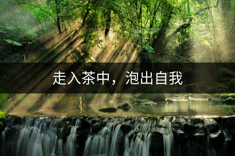 走入茶中，泡出自我