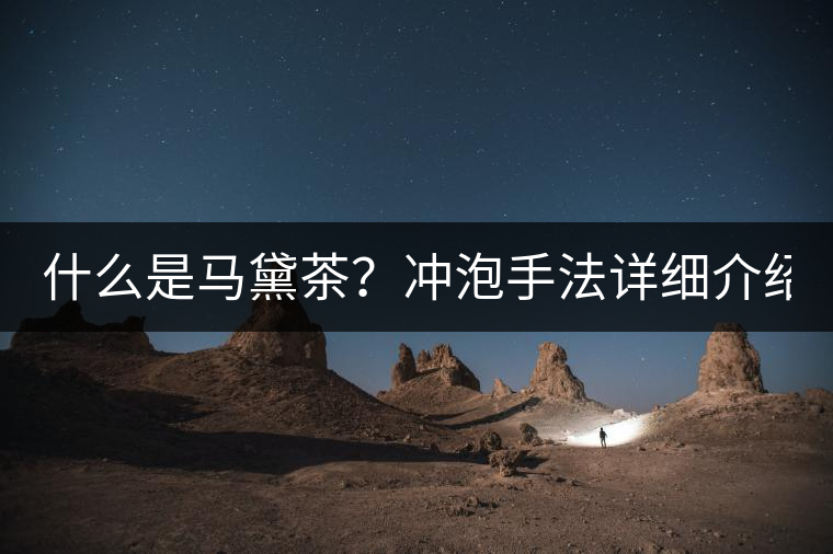 什么是馬黛茶？沖泡手法詳細介紹！