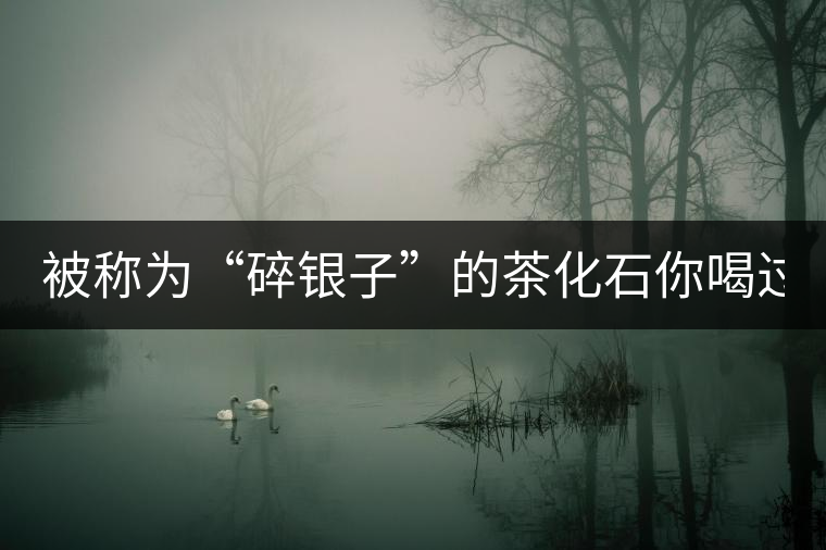 被稱為“碎銀子”的茶化石你喝過嗎？