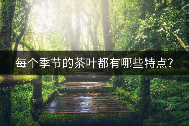 每個(gè)季節(jié)的茶葉都有哪些特點(diǎn)？