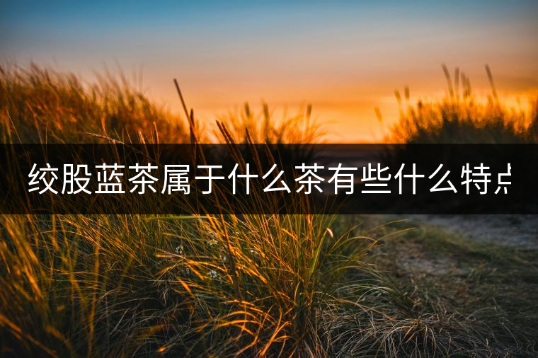 絞股藍茶屬于什么茶有些什么特點？