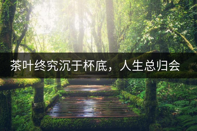 茶葉終究沉于杯底，人生總歸會(huì)要謝幕