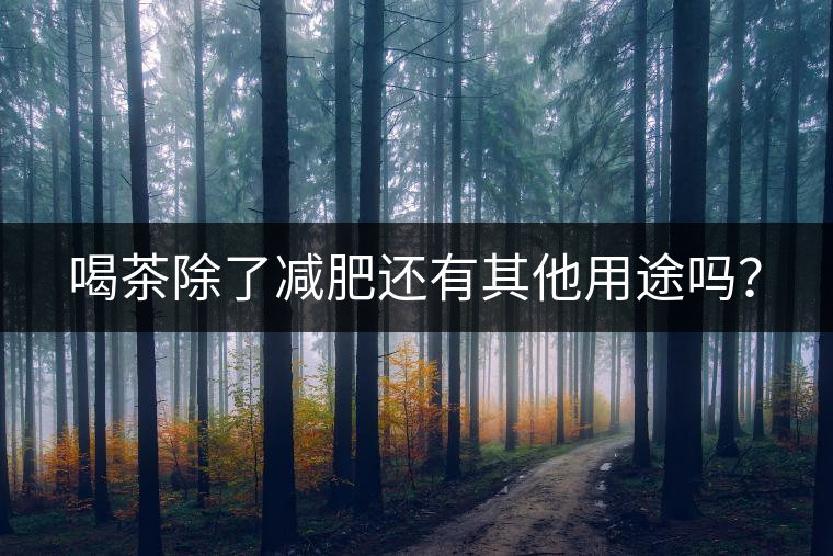 喝茶除了減肥還有其他用途嗎？