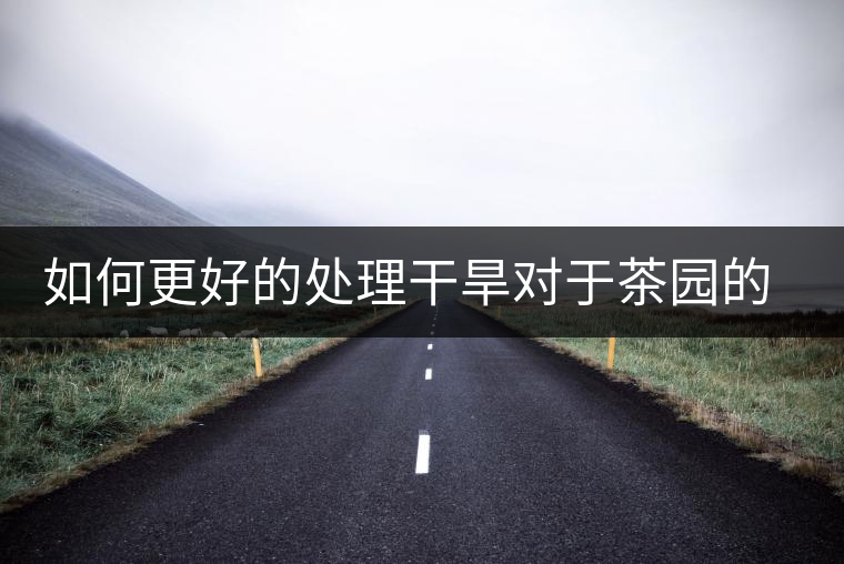 如何更好的處理干旱對于茶園的影響？
