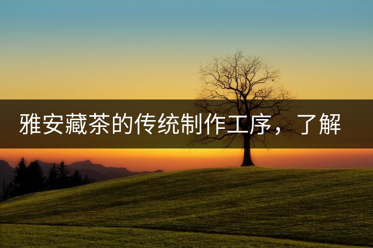 雅安藏茶的傳統(tǒng)制作工序，了解了傳統(tǒng)技藝才能更好的了解茶品！