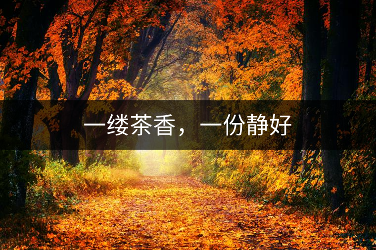 一縷茶香，一份靜好