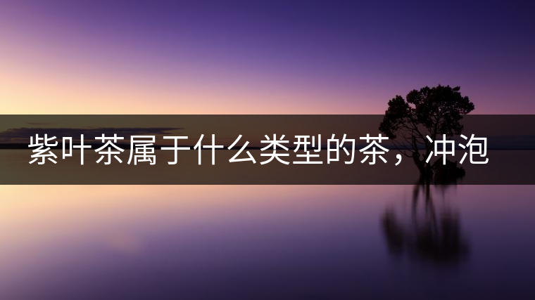 紫葉茶屬于什么類型的茶，沖泡需要注意什么？