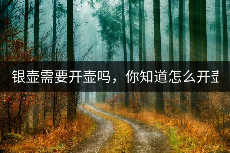 銀壺需要開(kāi)壺嗎，你知道怎么開(kāi)壺？