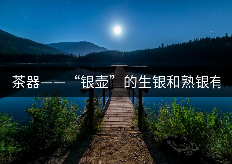 茶器——“銀壺”的生銀和熟銀有什么區(qū)別嗎？