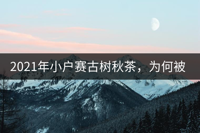 2021年小戶賽古樹秋茶，為何被稱為賽冰島？