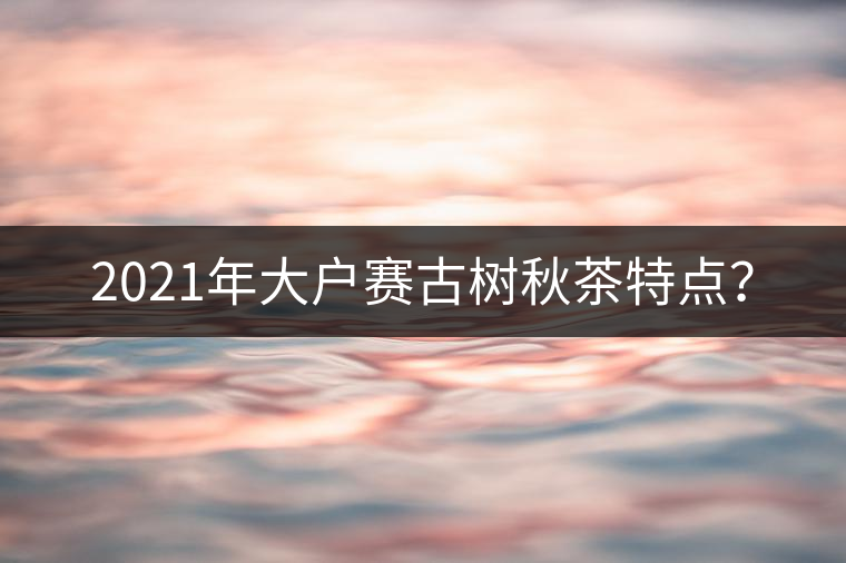 2021年大戶賽古樹秋茶特點(diǎn)？