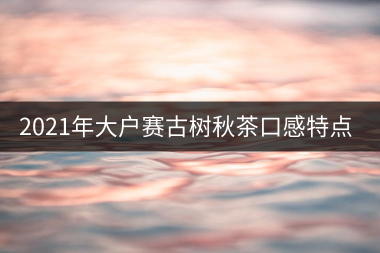 2021年大戶賽古樹秋茶口感特點? 2021年大戶賽古樹秋茶口感特點?