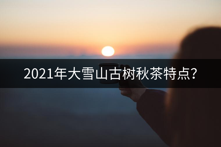 2021年大雪山古樹秋茶特點(diǎn)？