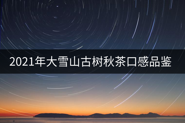 2021年大雪山古樹秋茶口感品鑒？