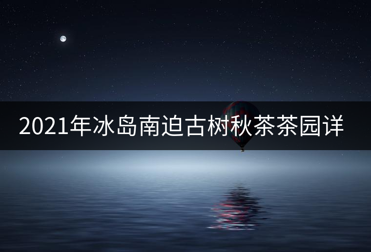 2021年冰島南迫古樹秋茶茶園詳解！