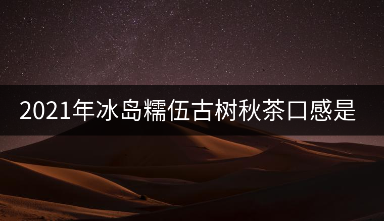 2021年冰島糯伍古樹秋茶口感是什么？