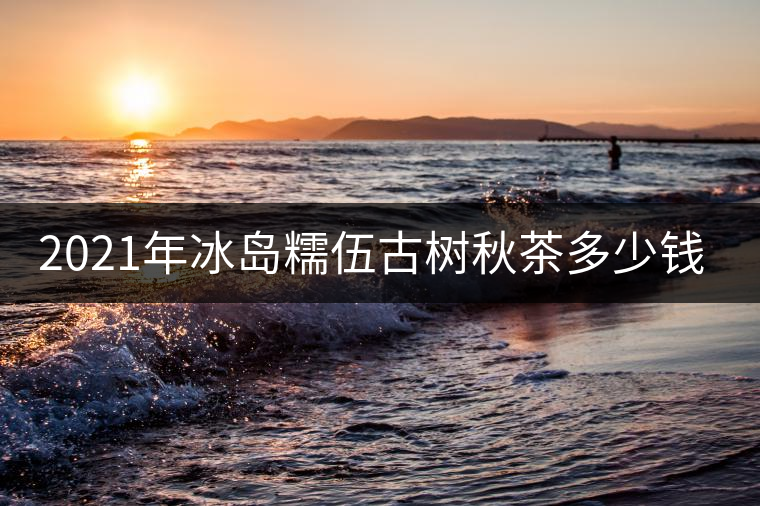 2021年冰島糯伍古樹秋茶多少錢一公斤？