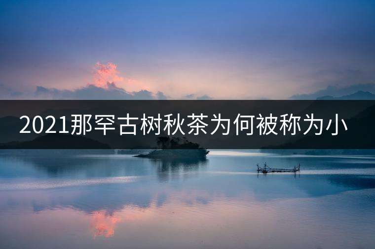2021那罕古樹秋茶為何被稱為小昔歸？