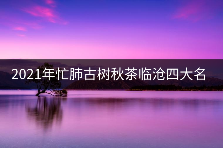 2021年忙肺古樹秋茶臨滄四大名茶之一！
