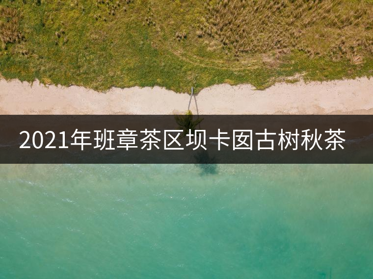 2021年班章茶區(qū)壩卡囡古樹秋茶多少錢一公斤？