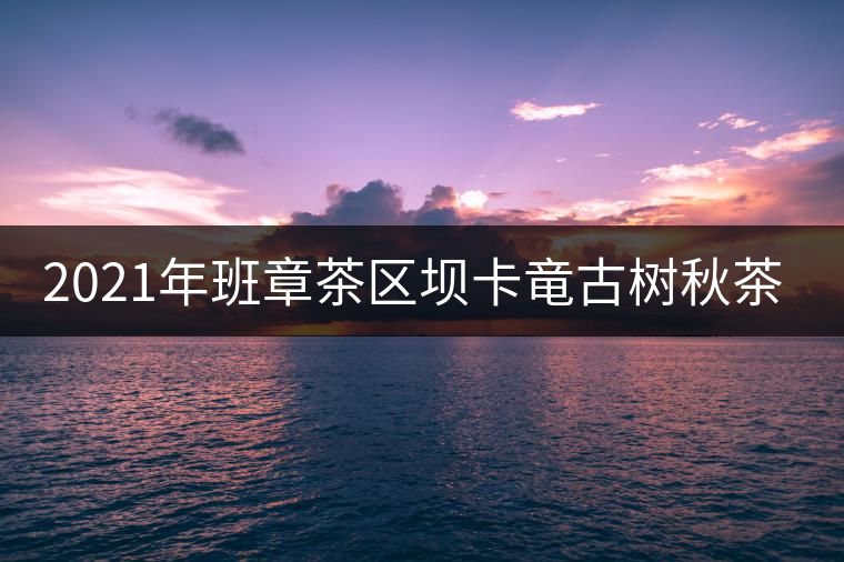 2021年班章茶區(qū)壩卡竜古樹秋茶多少錢一公斤？