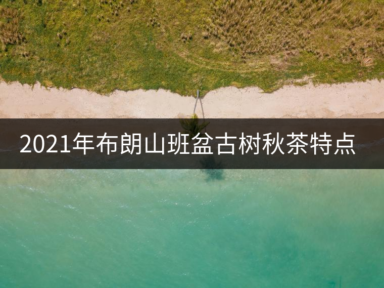 2021年布朗山班盆古樹秋茶特點? 2021年布朗山班盆古樹秋茶特點?