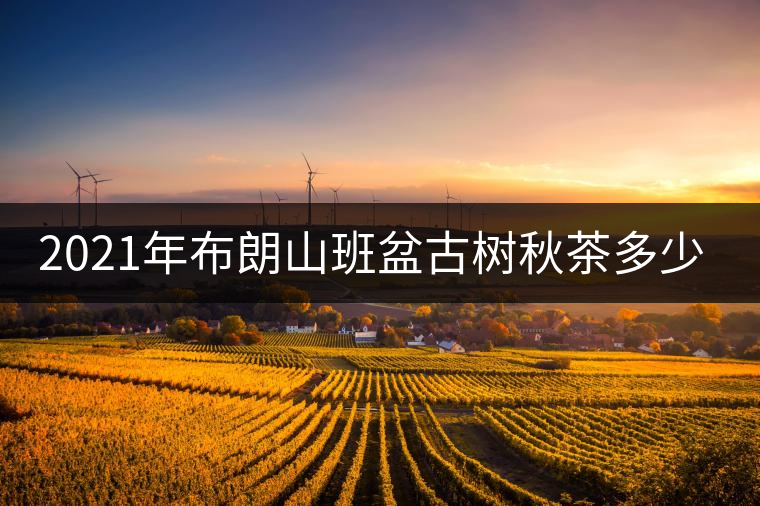 2021年布朗山班盆古樹秋茶多少錢一公斤？