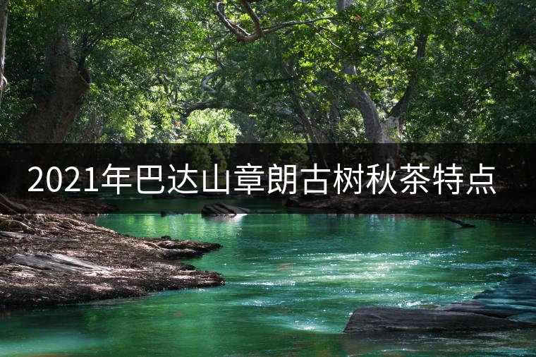 2021年巴達(dá)山章朗古樹秋茶特點？