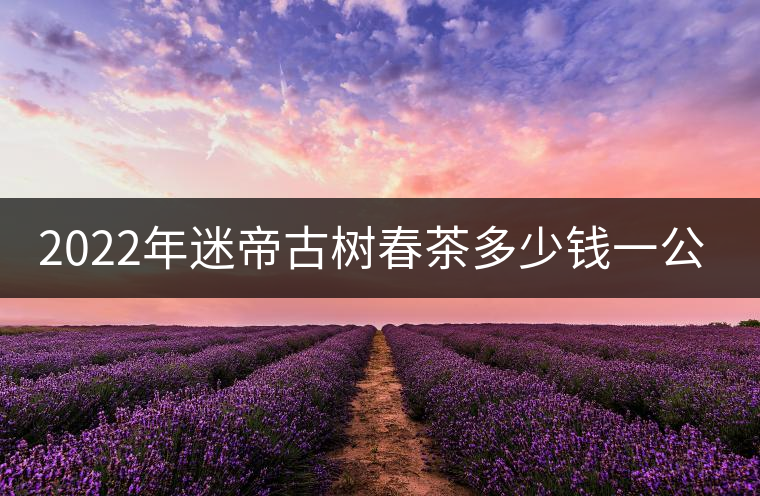 2022年迷帝古樹春茶多少錢一公斤？