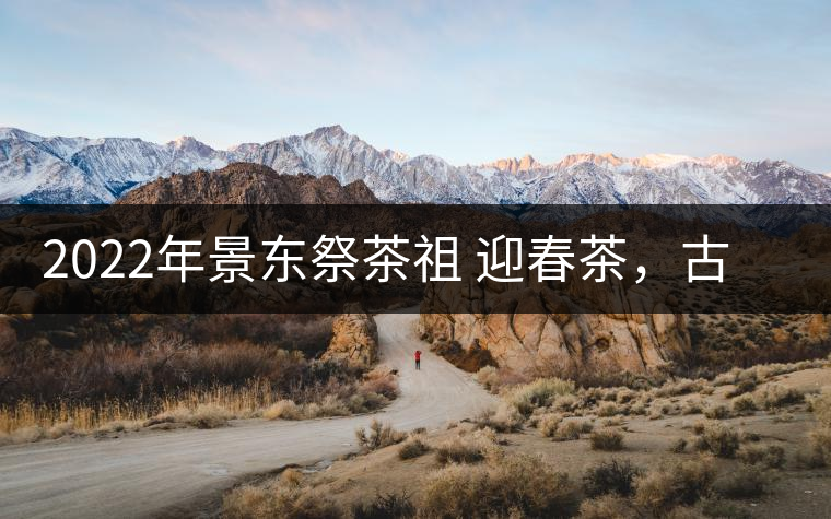 2022年景東祭茶祖 迎春茶，古樹春茶多少錢一公斤？