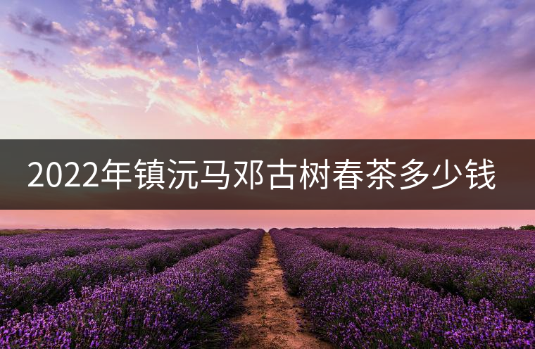 2022年鎮(zhèn)沅馬鄧古樹春茶多少錢一公斤？