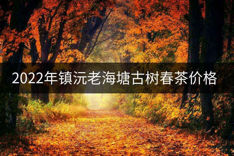 2022年鎮(zhèn)沅老海塘古樹春茶價格？