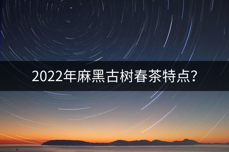 2022年麻黑古樹春茶特點(diǎn)？