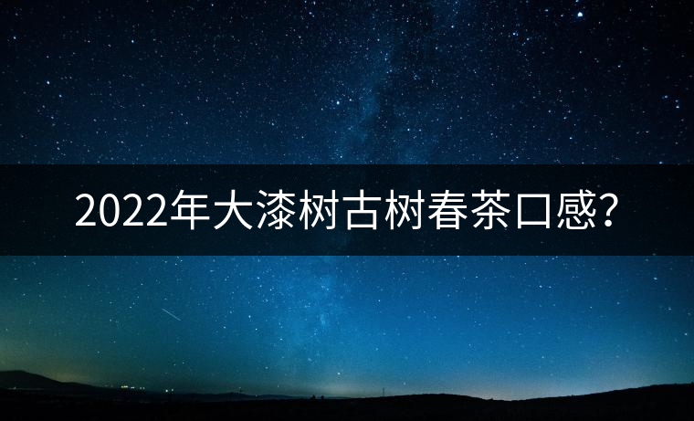 2022年大漆樹古樹春茶口感？