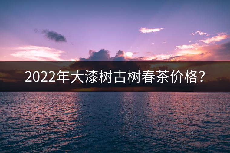 2022年大漆樹(shù)古樹(shù)春茶價(jià)格？