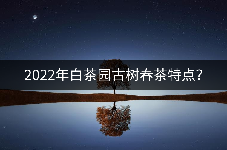 2022年白茶園古樹春茶特點(diǎn)？