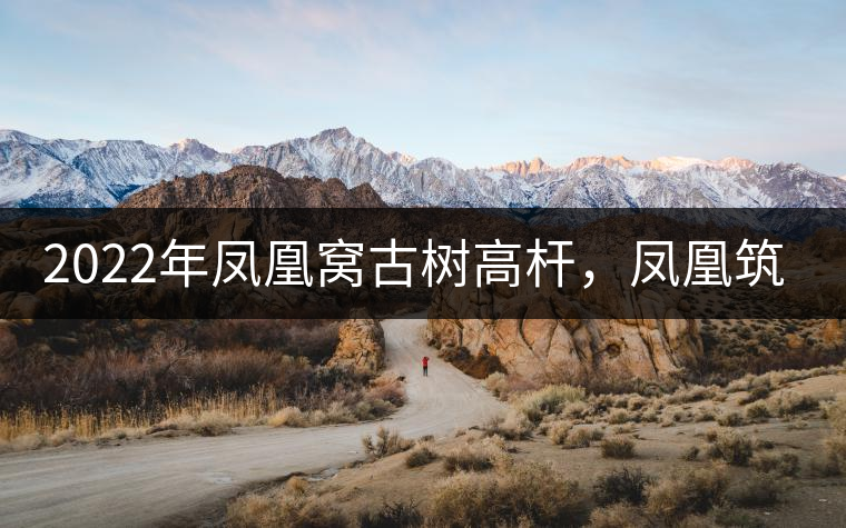 2022年鳳凰窩古樹(shù)高桿，鳳凰筑巢的地方