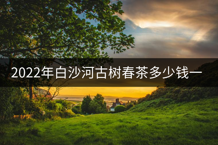 2022年白沙河古樹(shù)春茶多少錢(qián)一公斤？