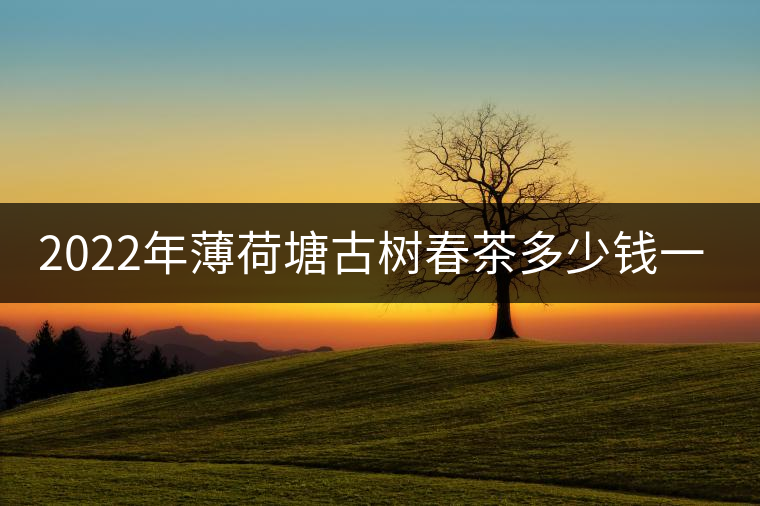 2022年薄荷塘古樹春茶多少錢一公斤？