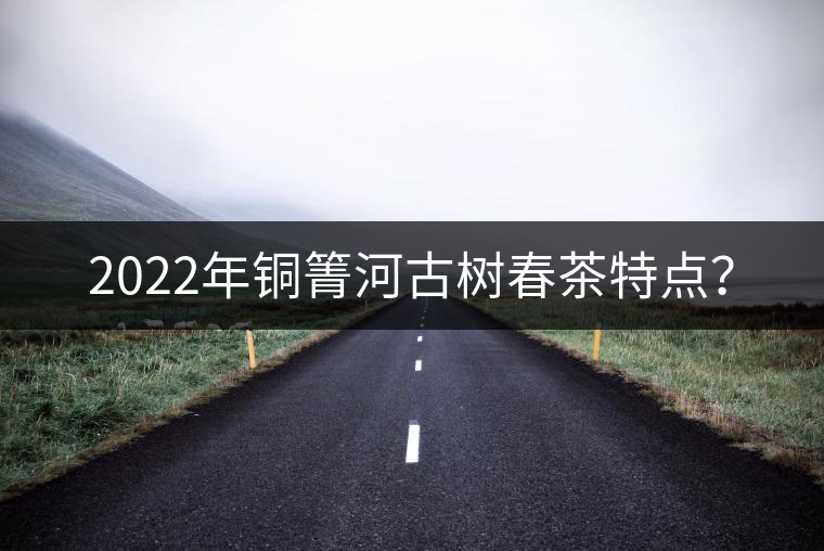 2022年銅箐河古樹(shù)春茶特點(diǎn)？