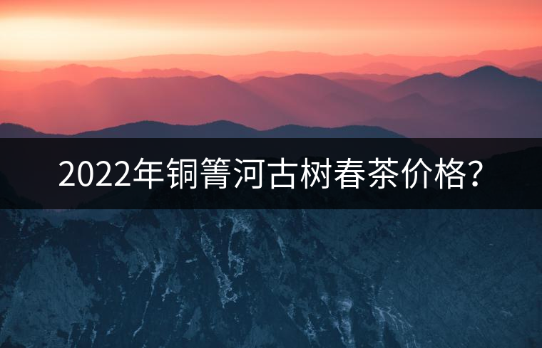 2022年銅箐河古樹春茶價格？
