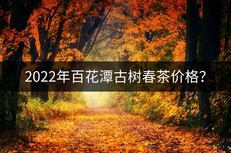 2022年百花潭古樹(shù)春茶價(jià)格？