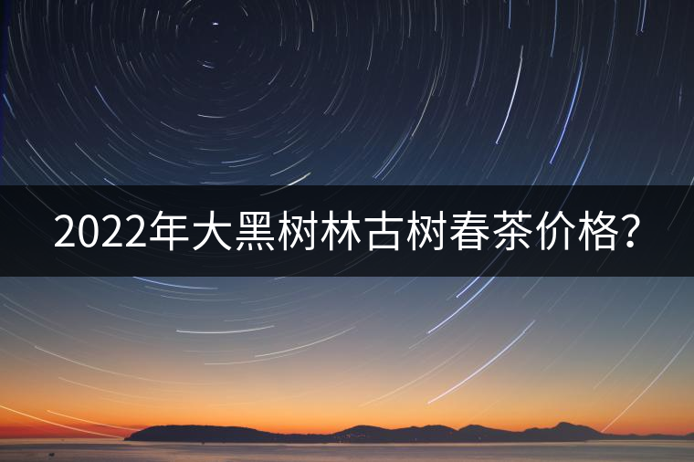2022年大黑樹林古樹春茶價(jià)格？