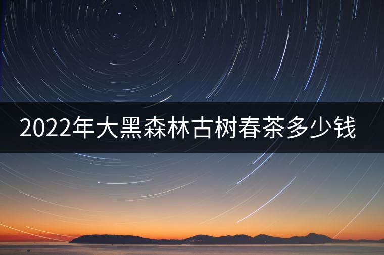 2022年大黑森林古樹(shù)春茶多少錢(qián)一公斤？
