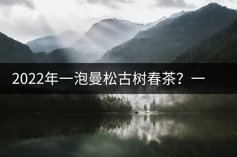2022年一泡曼松古樹春茶？一飲帝王味……