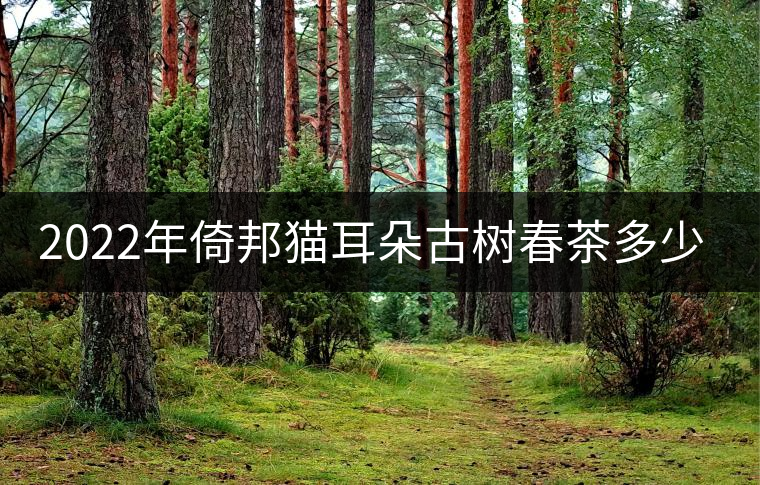 2022年倚邦貓耳朵古樹春茶多少錢一公斤? 2022年倚邦貓耳朵古樹春茶多少錢一公斤?