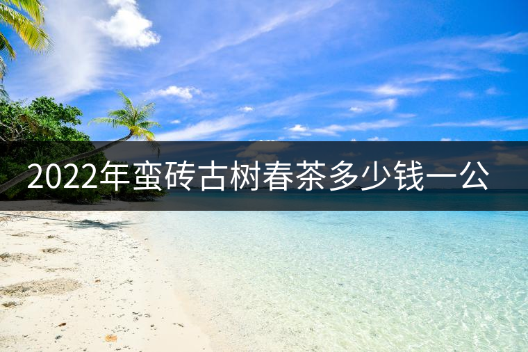2022年蠻磚古樹春茶多少錢一公斤? 2022年蠻磚古樹春茶多少錢一公斤?