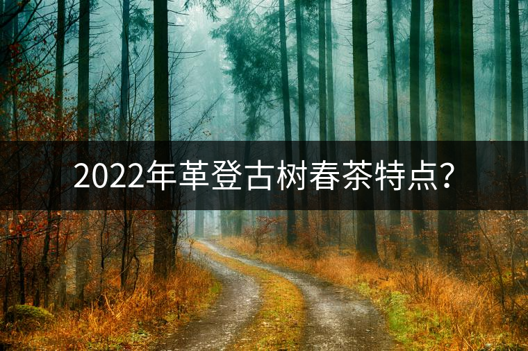 2022年革登古樹春茶特點？